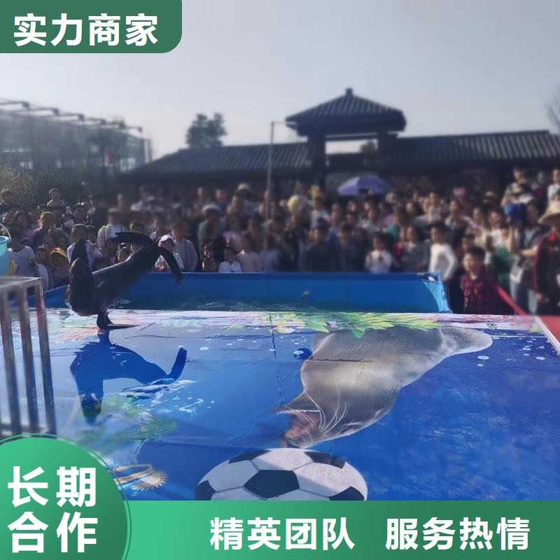 海洋生物鱼缸展出租暖场氛围