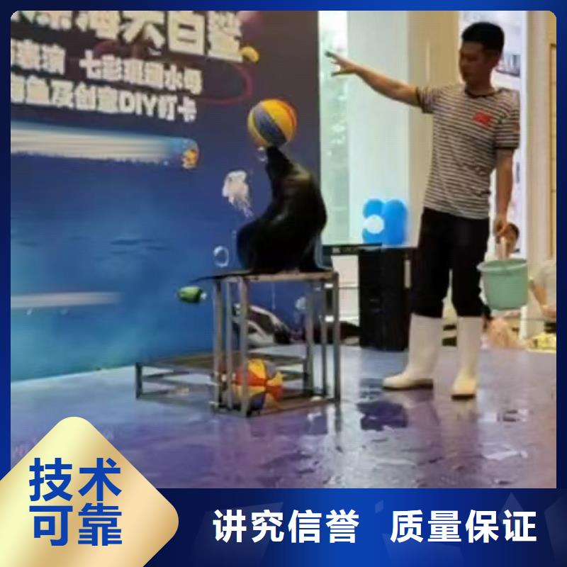 海洋主题动物表演企鹅租赁一对一服务