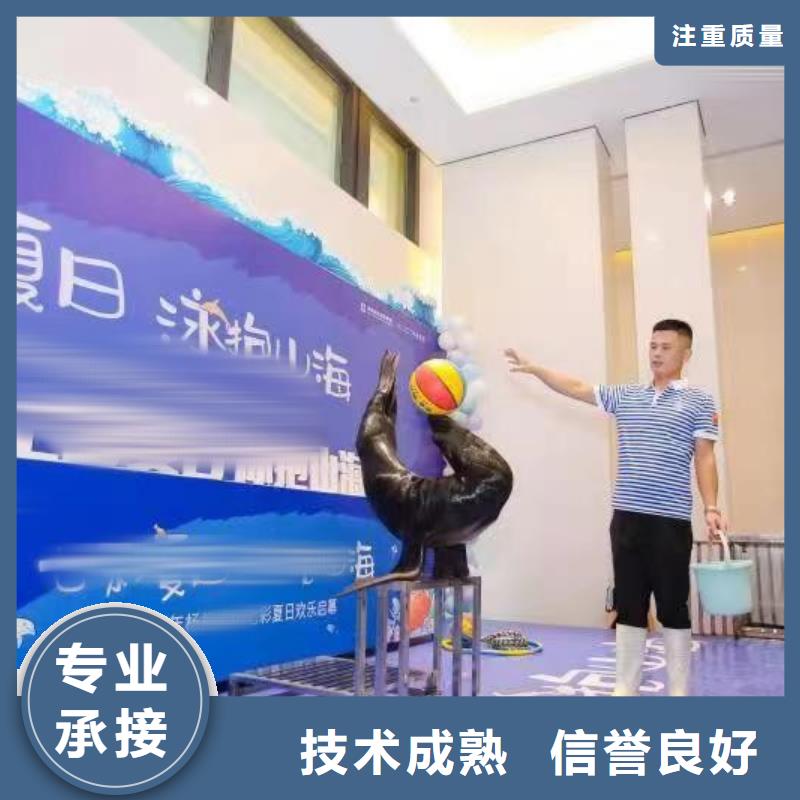 海洋主题动物表演 吉祥百鸟展服务周到