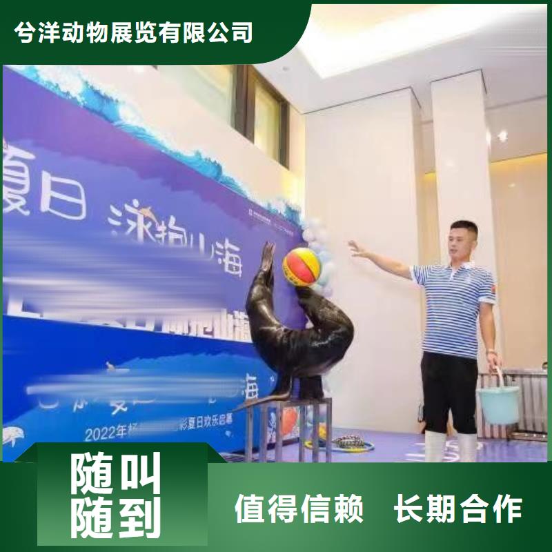 海洋主题动物表演_萌宠动物展出租一对一服务