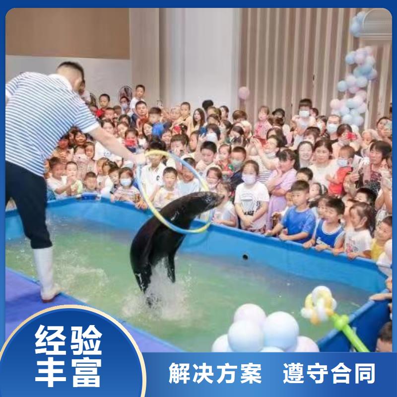 海洋主题动物表演表演羊驼租赁承接