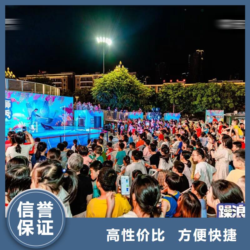 海洋主题动物表演 【活体羊驼租赁】一对一服务