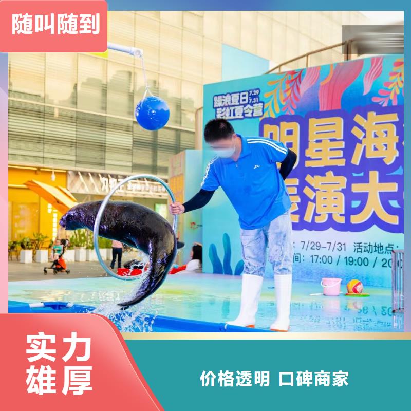 海洋主题动物表演出租羊驼精英团队