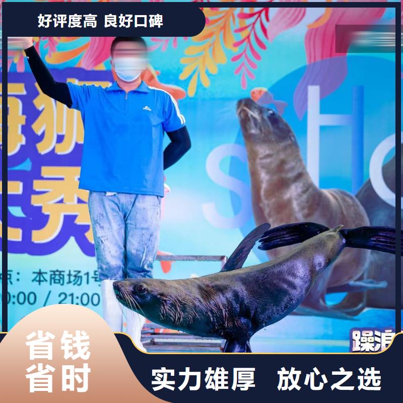 海洋展租赁