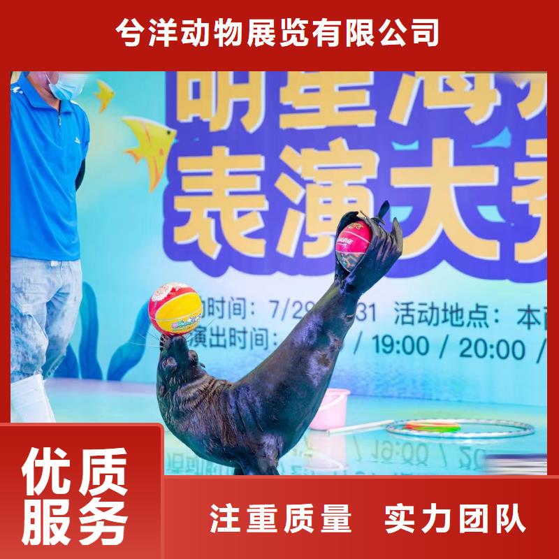 海洋主题动物表演马戏团表演出租租赁品质保证