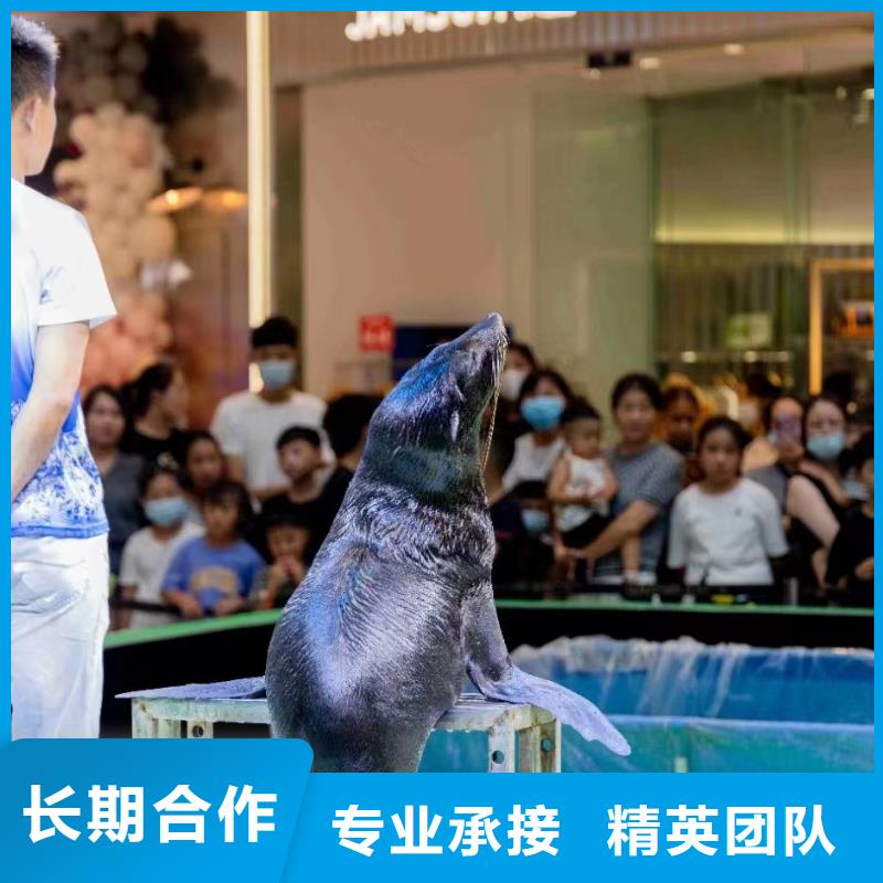 【海洋主题动物表演美人鱼表演技术可靠】