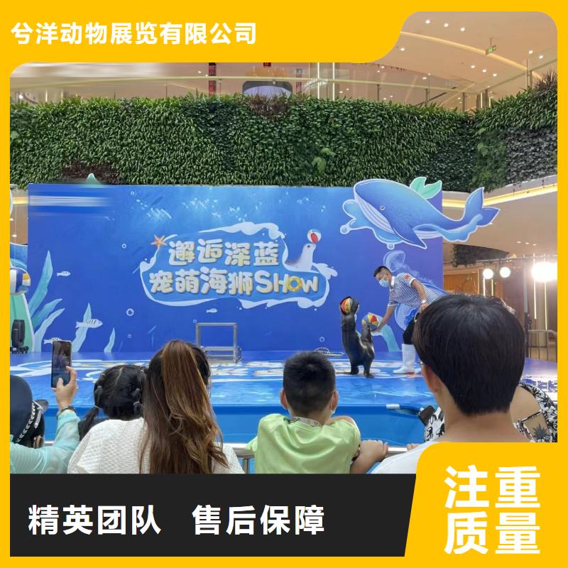 海洋主题动物表演 吉祥百鸟展服务周到