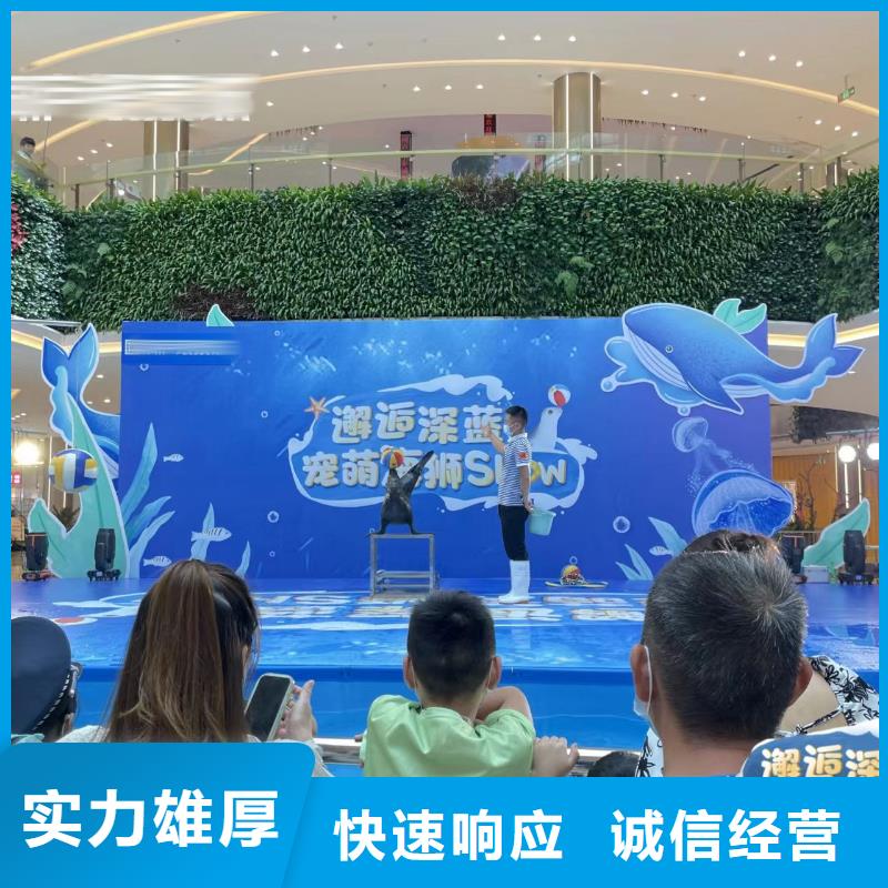海洋主题动物表演羊驼表演实力公司