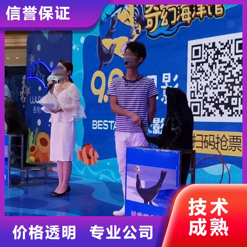 美人鱼表演出租周边