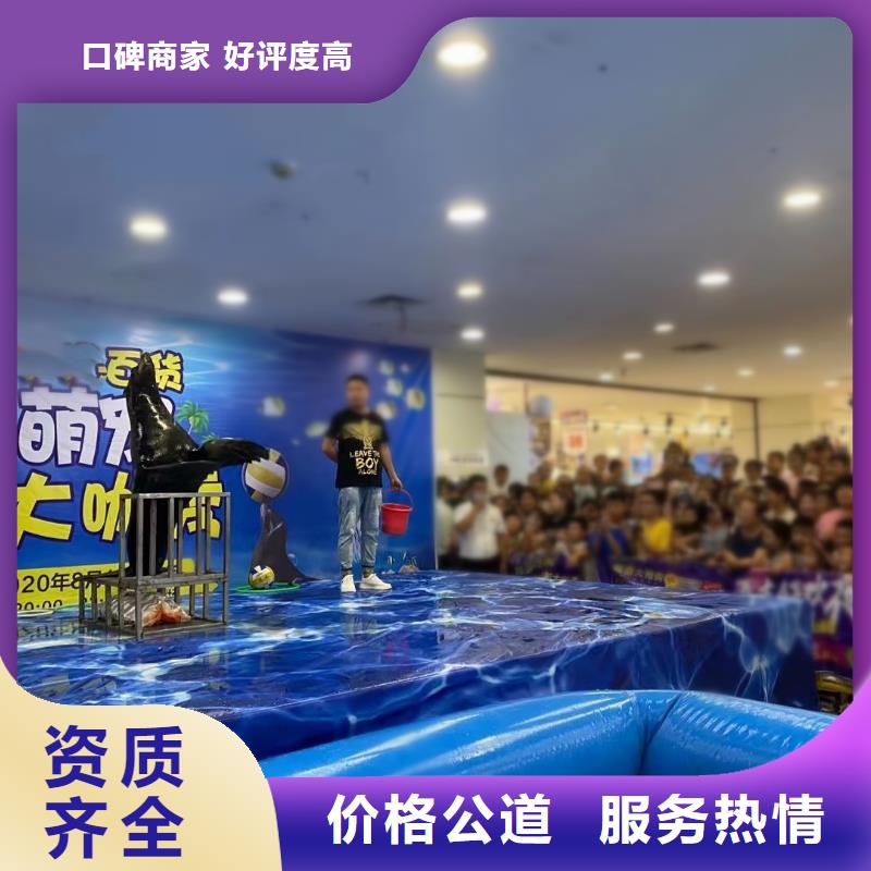 海洋主题动物表演,羊驼出租实力强有保证