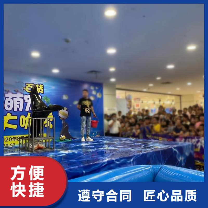 海洋主题动物表演出租马戏表演一站式服务
