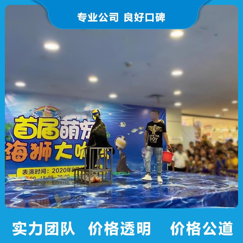 【海洋主题动物表演出租企鹅拒绝虚高价】