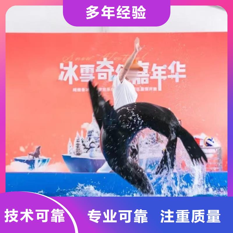 企鹅出租海洋动物