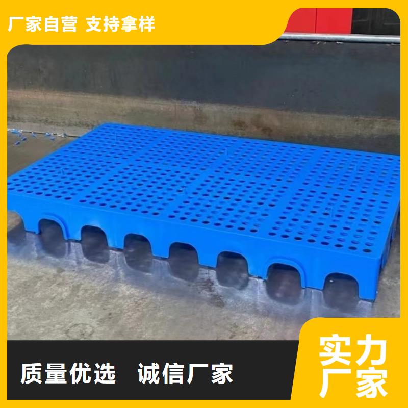 塑料托盘热处理木托盘现货满足大量采购