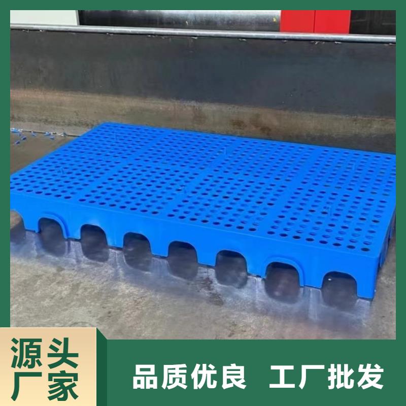 塑料托盘重型货架卡板托盘种类多质量好