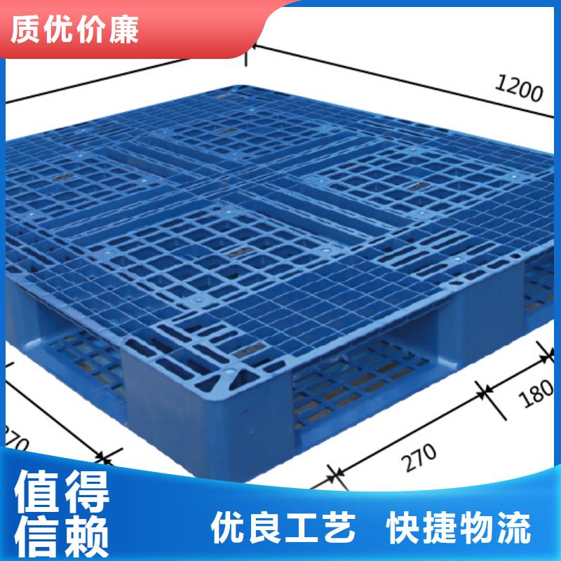 和龙区塑料拍子结实的