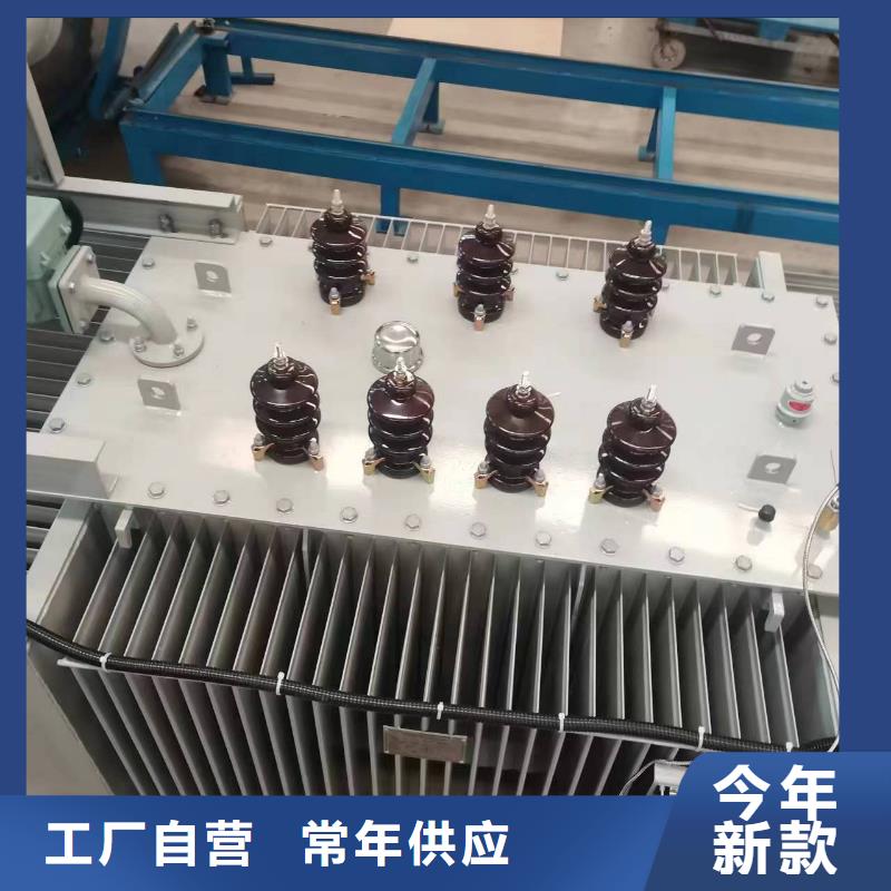 变压器厂家SH15-100KVA10/0.4KV非晶合金油浸式变压器价格