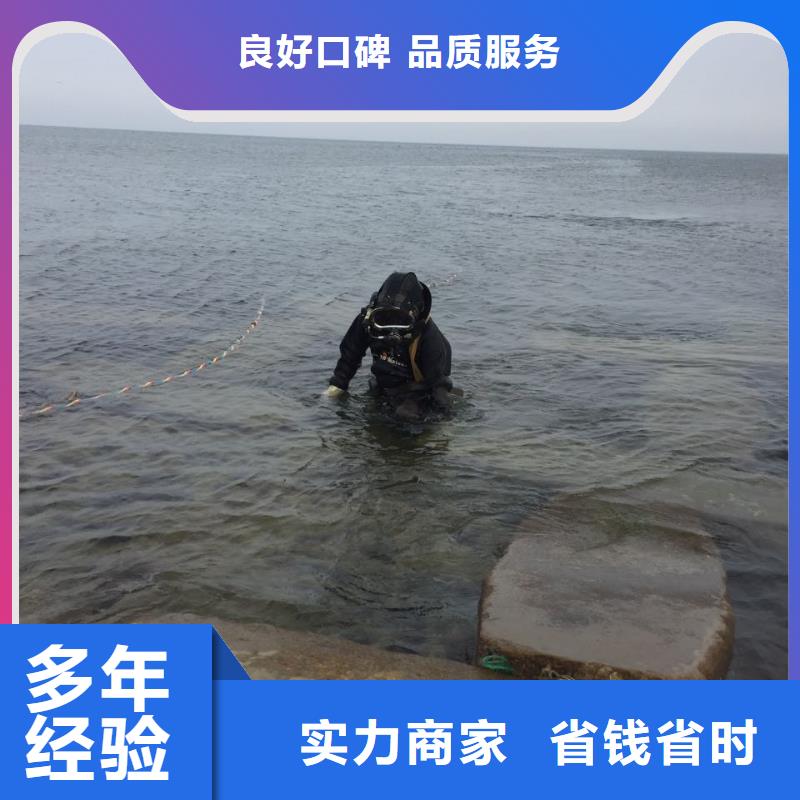 水下补漏公司<潜水员安装气囊>-速度快