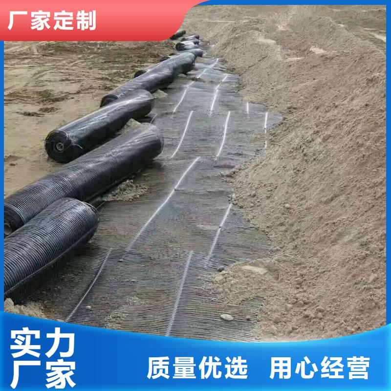 双向塑料土工格栅生产厂家