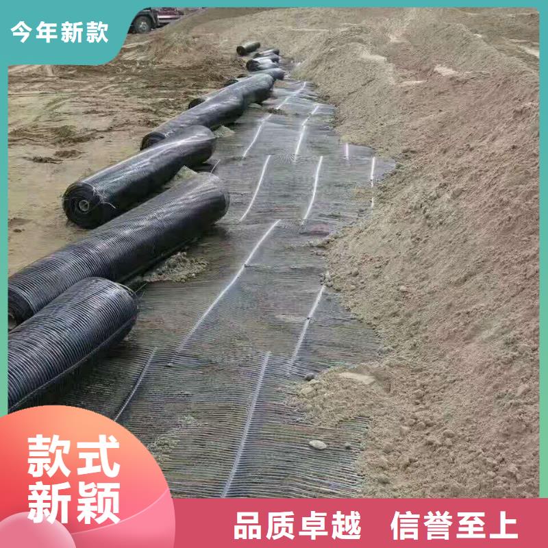 双向钢塑土工格栅价格