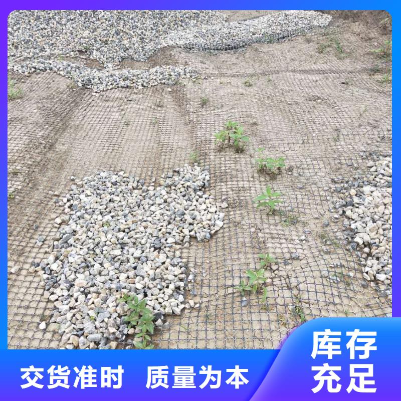 双向钢塑土工格栅供应商