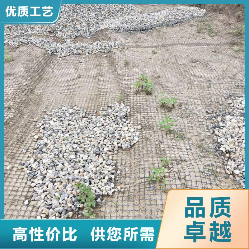 双向土工格栅价格