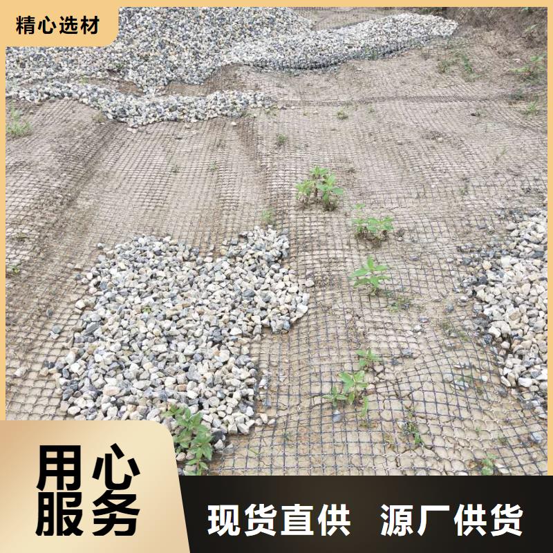 塑料土工格栅生产厂家