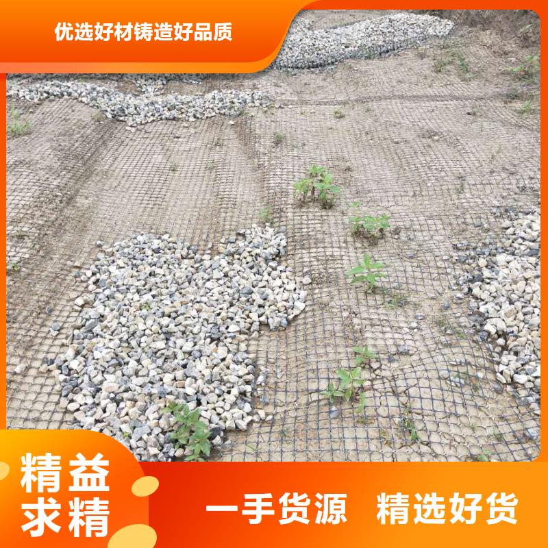 双向塑料土工格栅生产厂家