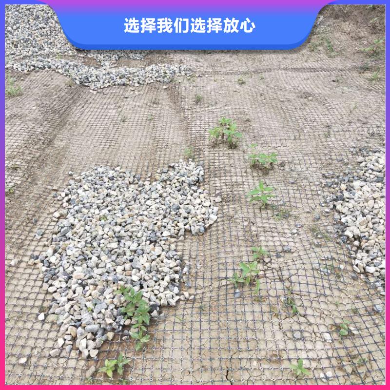 【土工格栅\抗裂贴土工膜符合行业标准】