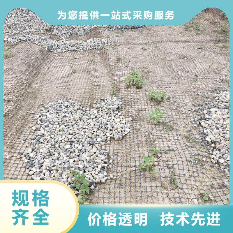 钢塑焊接土工格栅价格实惠