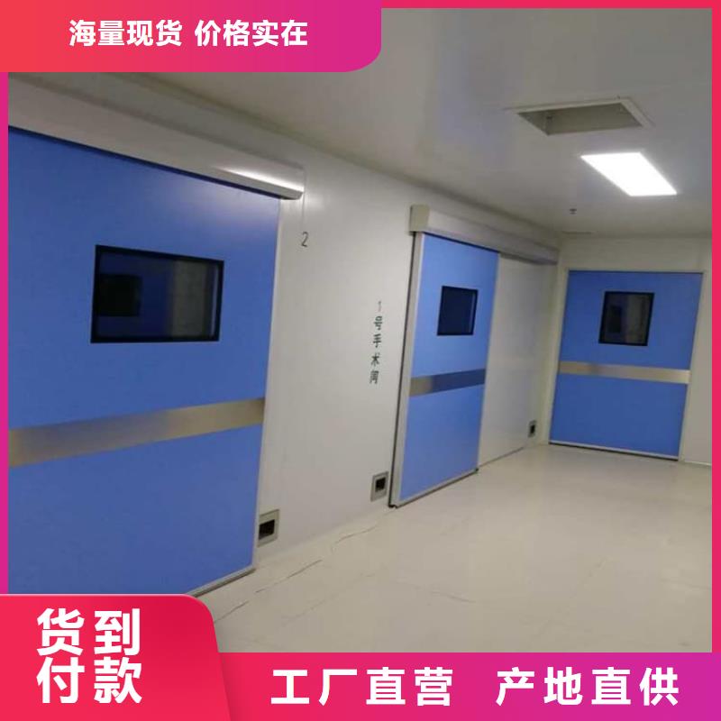 子母电动铅门-实力大厂
