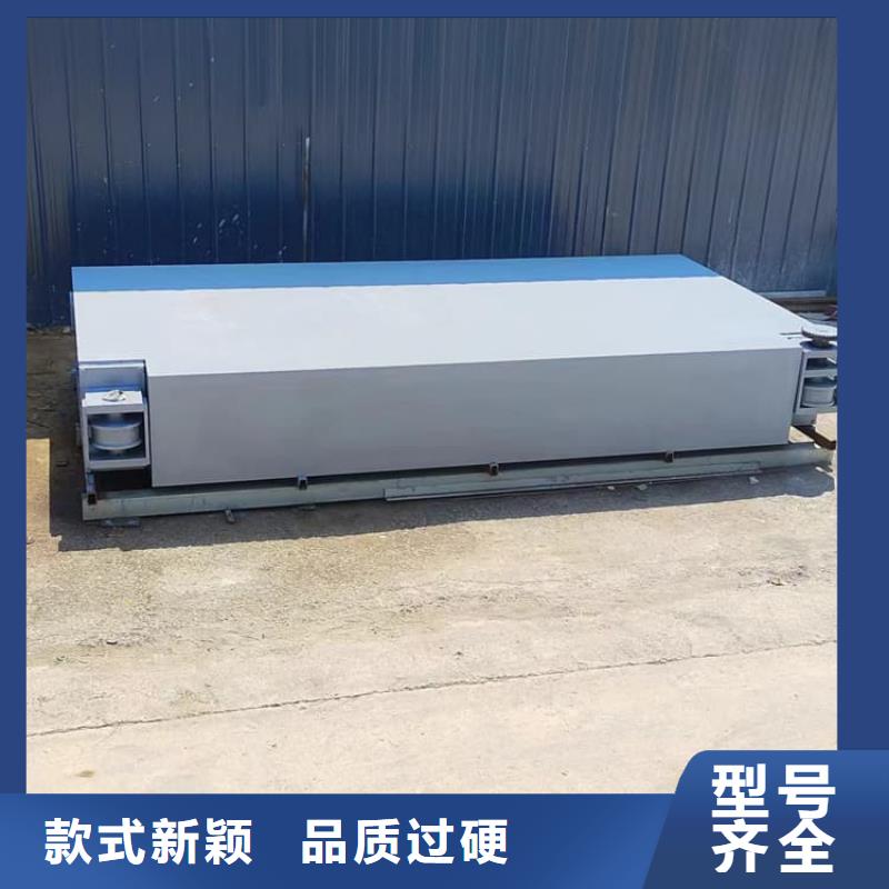 #射线防护铅门#可定制