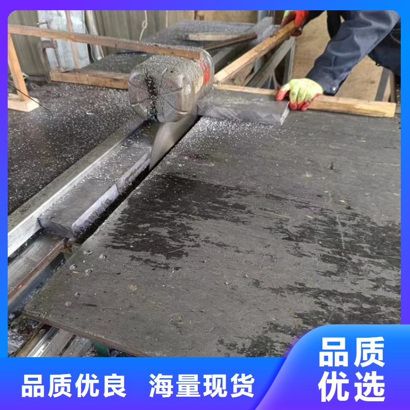 工业探伤配重铅块欢迎询价