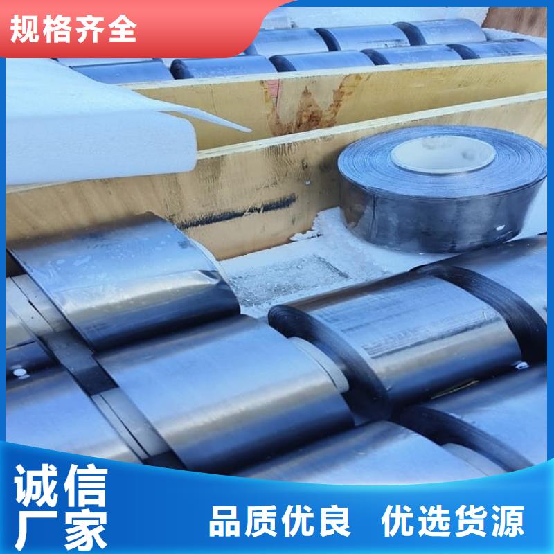 专业生产制造高电解铅板的厂家