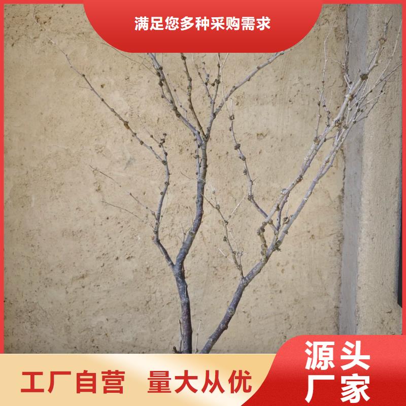 仿夯土稻草漆价格#仿泥巴稻草漆#民宿改造#美丽乡村