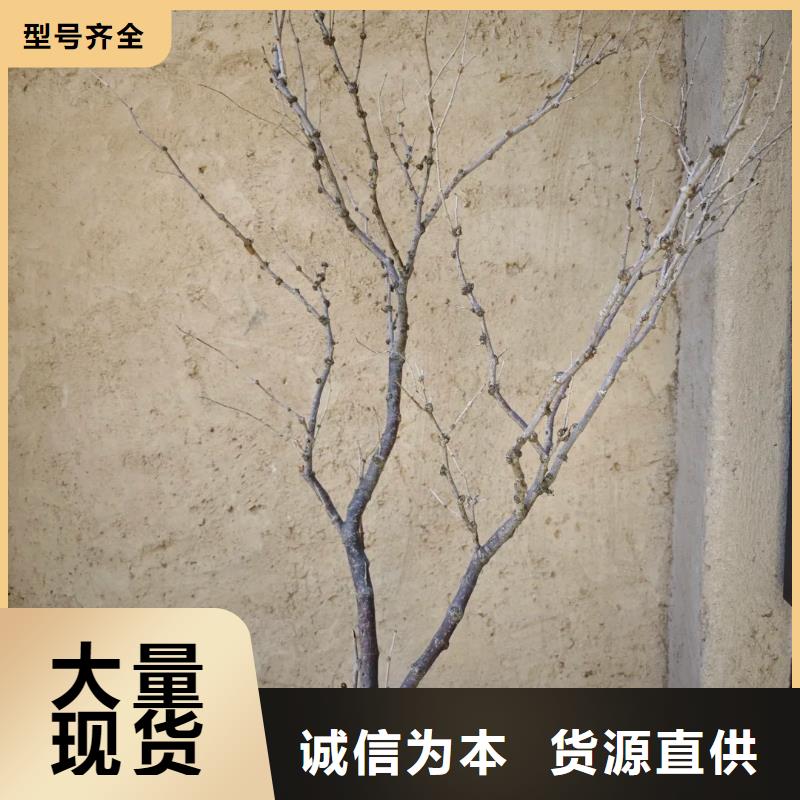 仿夯土稻草漆多少钱#生态稻草漆#老房翻新#农家小院