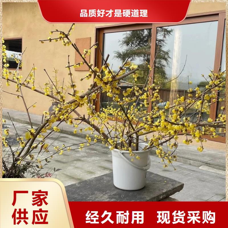 仿五花断层夯土漆施工#仿夯土稻草漆#艺术涂料厂家#农家小院改造