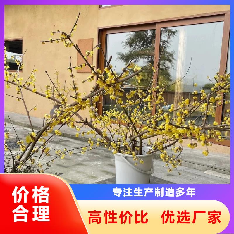 全包施工户外稻草漆支持拿样