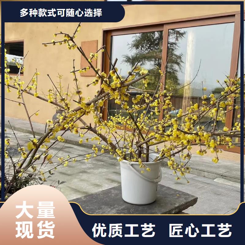 稻草夯土漆施工#乡村改造稻草漆#仿夯土漆#乡村改造