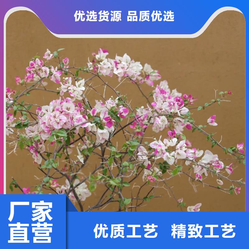 夯土艺术漆施工#仿泥巴稻草漆#民宿改造#美丽乡村