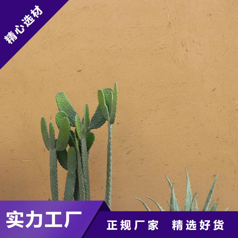 断层仿泥巴墙涂料多少钱#农家小院#乡村建设#民宿改造