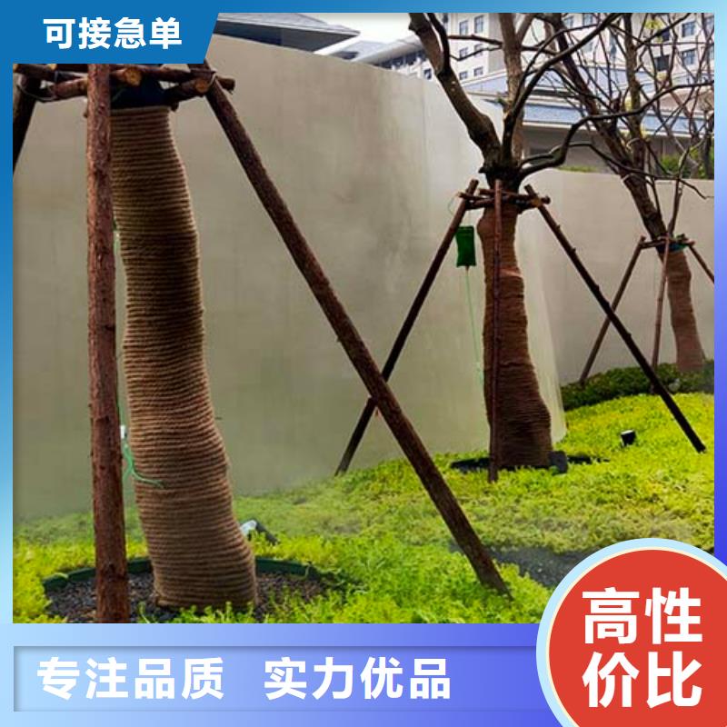 微水泥产品实拍图