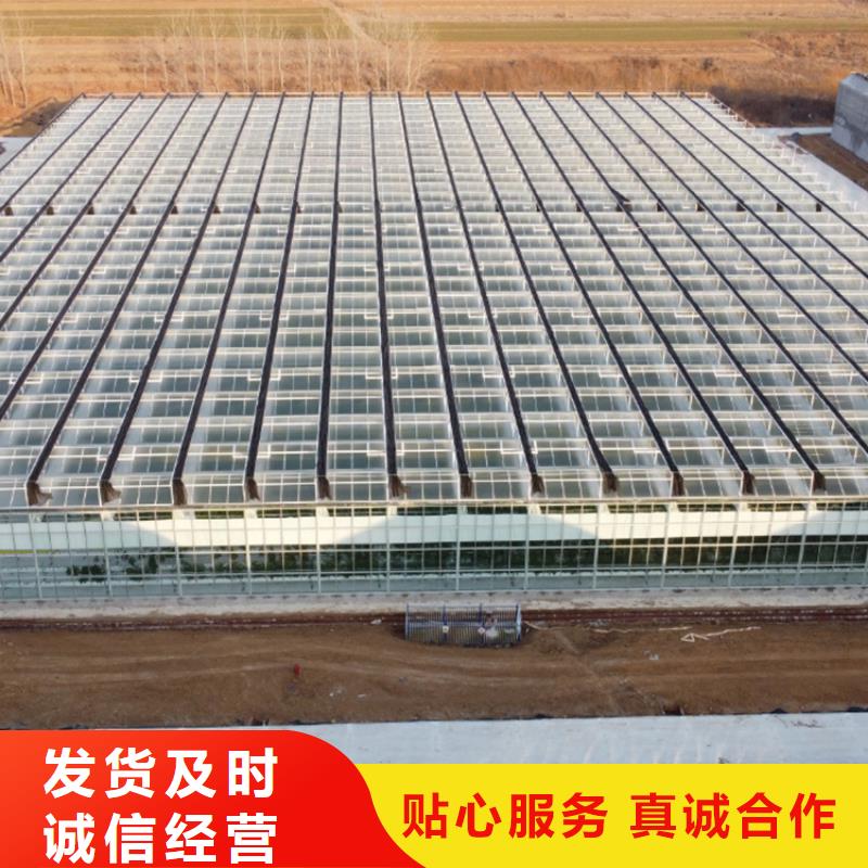 连栋温室钢架大棚品质保证2024-8-28