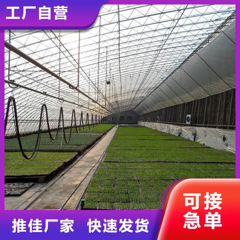 榆次区GP622连体薄膜大棚直销价格