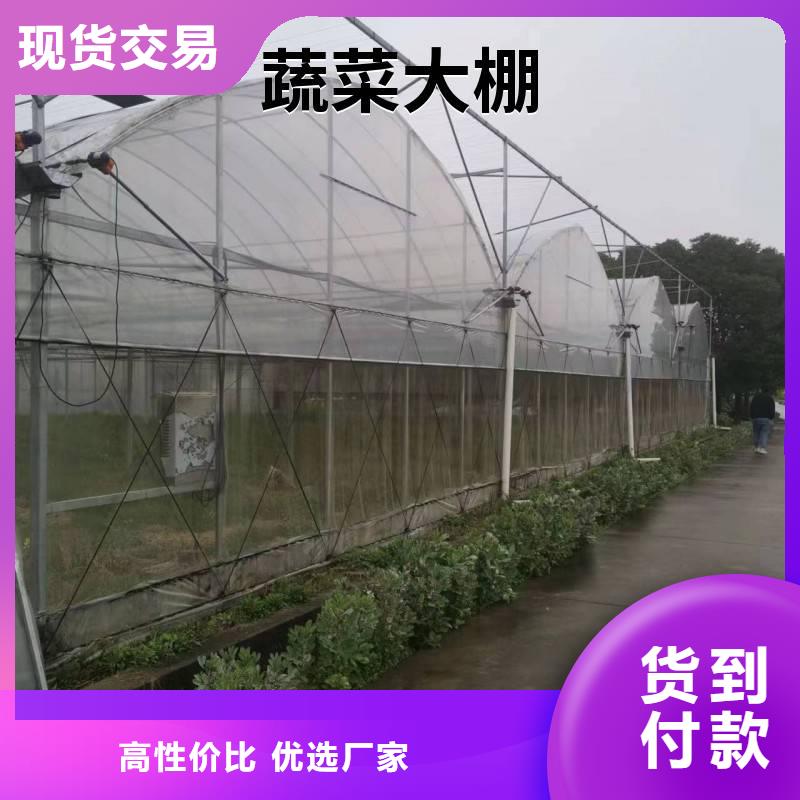 秀峰区连栋大棚每平方价格【修饰词