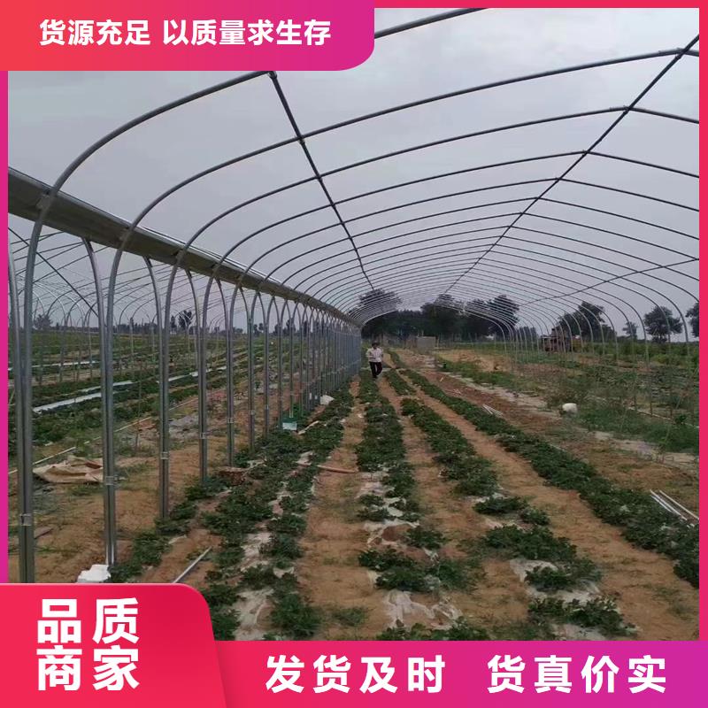 富拉尔基区花卉育苗大棚GLP8432【修饰词