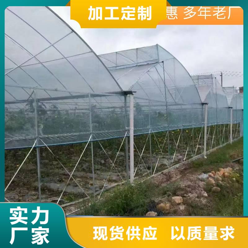 揭东区GP622连体薄膜大棚定制价格