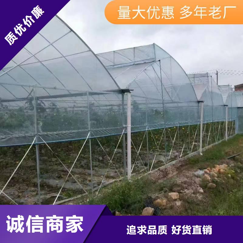 英山县温室大棚钢管生产基地