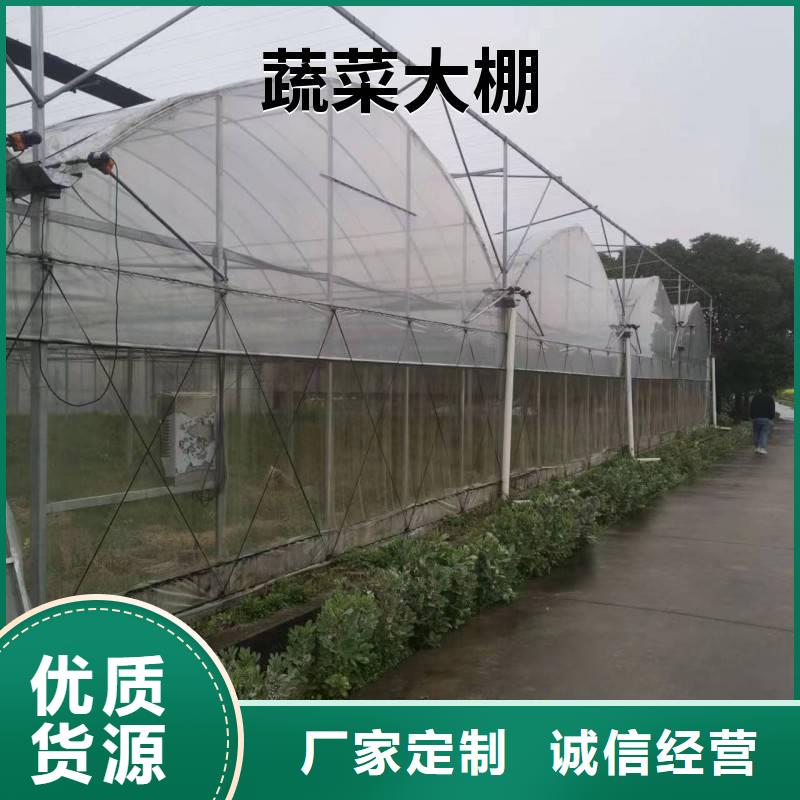 千阳县草莓大棚的跨度几米实体大厂