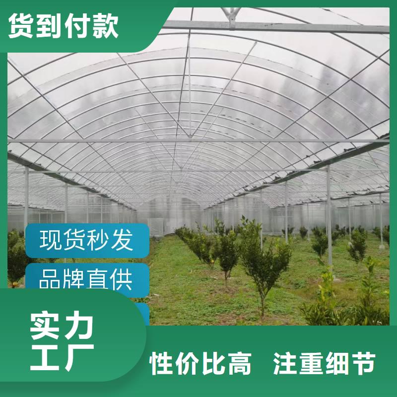 那坡县温室连栋大棚造价型号全2024-8-28